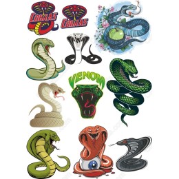 Cobra Collection - Bundle