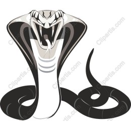 Fierce Cobra