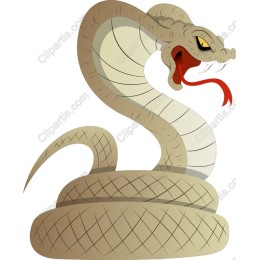 Cobra - Edgy and