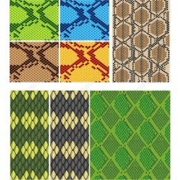 Set of Snake Skin Patterns - Colorful Clipart Bundle