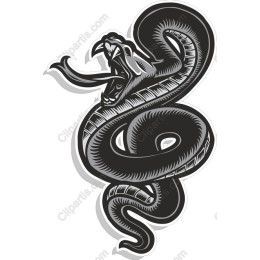 Fierce Black and White Snake