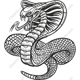 Cobra