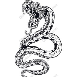 Fierce Serpent
