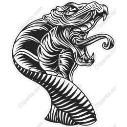 Rising Cobra