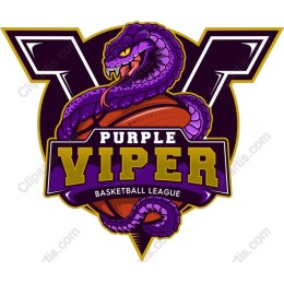Purple Viper Basketball League Logo