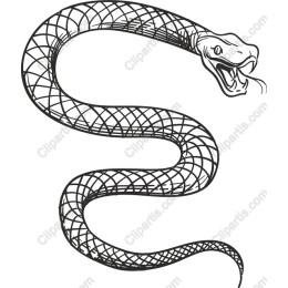 Intricate Serpent