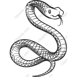 Captivating Snake