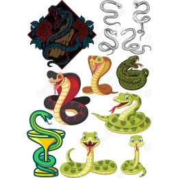 Serpent Bundle - Versatile Collection