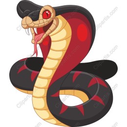 Vibrant Cobra