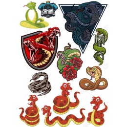 Vibrant Snake Collection - Bundle