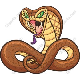 Cobra