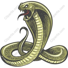 Cobra