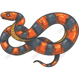 Vibrant Snake
