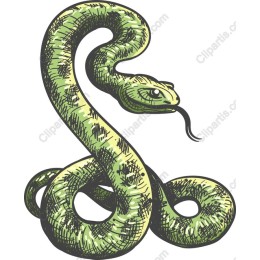 Hand-Drawn Green Snake