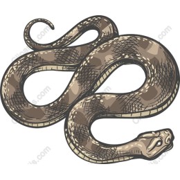 Intricate Snake in and