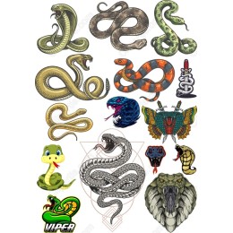Serpent Clipart Set - 12 Unique