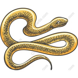 Golden Snake