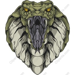 Fierce Snake Head