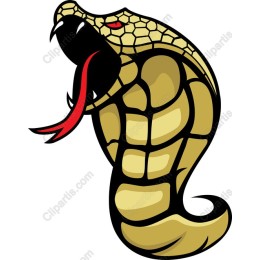 Cobra - Fierce