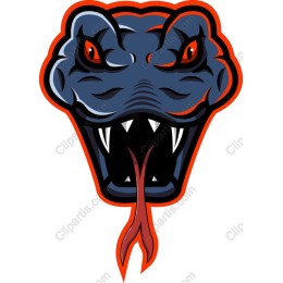 Fierce Snake Head