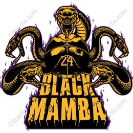 Black Mamba