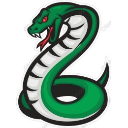 Vibrant Green Snake