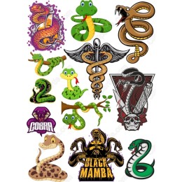 Vibrant Snake Collection