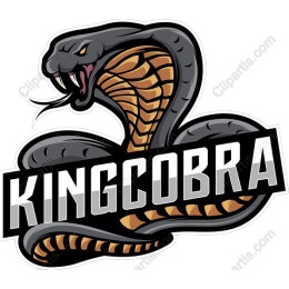 King Cobra