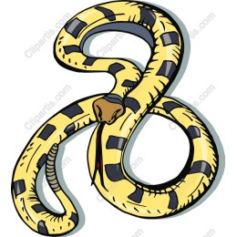 Charming Yellow Snake