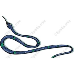 Vibrant Blue Snake