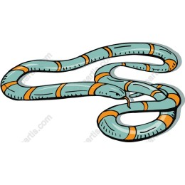 Stylish Teal and Orange Snake
