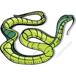 Vibrant Green Snake