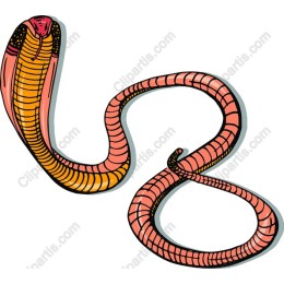 Vibrant Snake