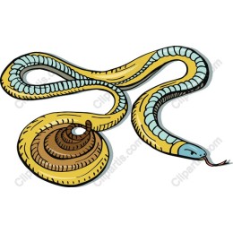 Vibrant Snake