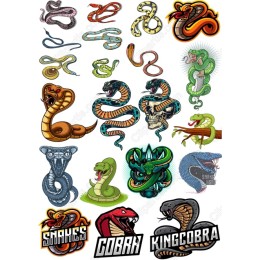 Premium Snake Set - Bundle