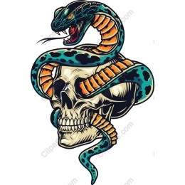 Snake and Skull