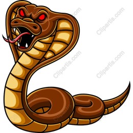Fierce Cobra