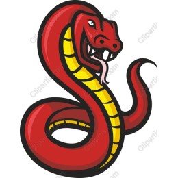 Red Cobra