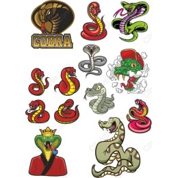 Cobra Bundle - High-Quality and
