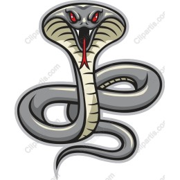 Cobra