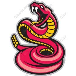 Vibrant Snake