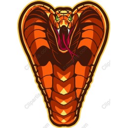 Vibrant Orange Cobra