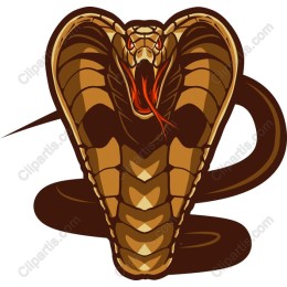 Cobra - Fierce and Detailed /