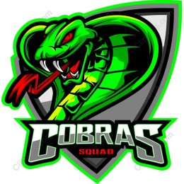 Dynamic Cobras Squad Logo