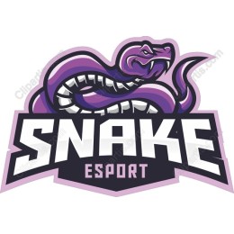 Snake Esport
