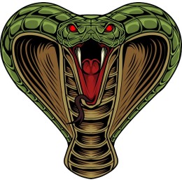 Cobra