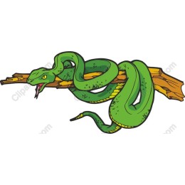 Vibrant Green Snake