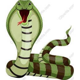 Vibrant Green Cobra