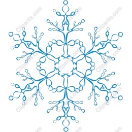 Elegant Blue Snowflake