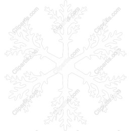 Elegant Snowflake